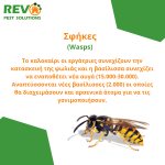 Pest Control Cyprus Nicosia - Απεντομώσεις Απολυμάνσεις Μυοκτονίες Λευκωσία Κύπρος