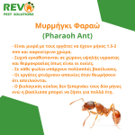 Pest Control Cyprus Nicosia - Απεντομώσεις Απολυμάνσεις Μυοκτονίες Λευκωσία Κύπρος