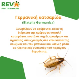 Expert cockroach pest control services in Nicosia, Cyprus. Εξειδικευμένες υπηρεσίες απεντόμωσης κατσαρίδων στη Λευκωσία, Κύπρος.