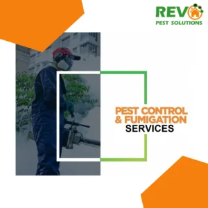 Professional pest control services in Nicosia, Cyprus, for homes and businesses. Επαγγελματικές υπηρεσίες απεντόμωσης στη Λευκωσία, Κύπρος, για σπίτια και επιχειρήσεις.