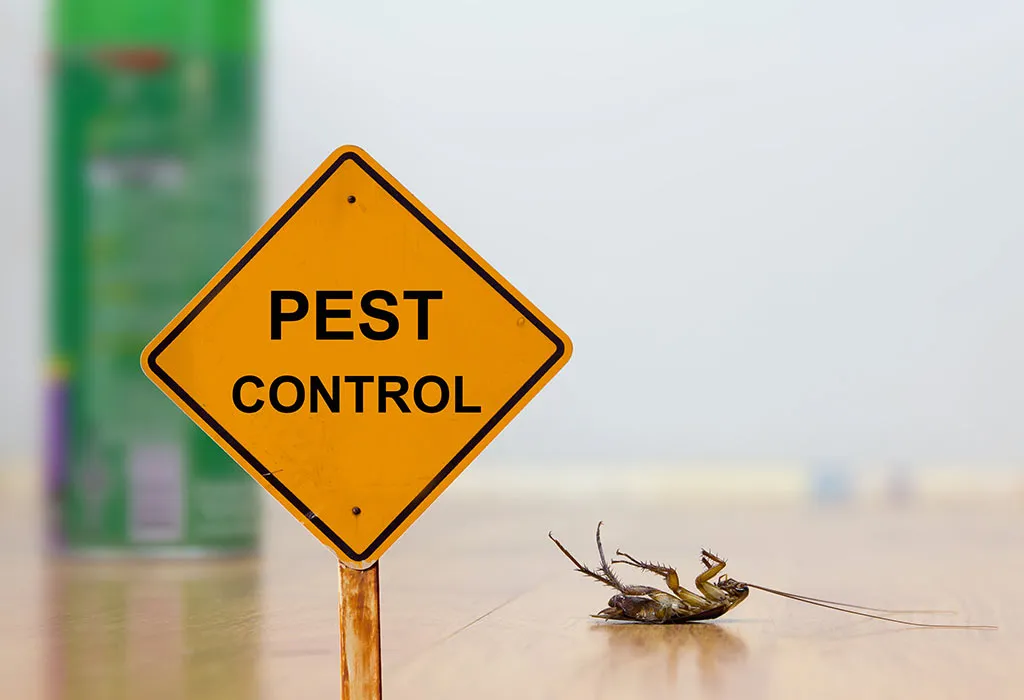 Professional pest control services in Nicosia, Cyprus, for homes and businesses. Επαγγελματικές υπηρεσίες απεντόμωσης στη Λευκωσία, Κύπρος, για σπίτια και επιχειρήσεις.