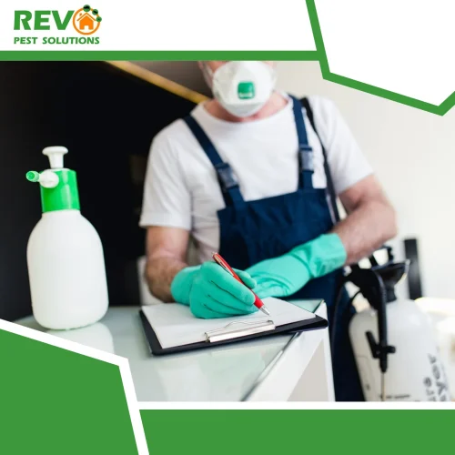 Professional pest control services in Nicosia, Cyprus, for homes and businesses. Επαγγελματικές υπηρεσίες απεντόμωσης στη Λευκωσία, Κύπρος, για σπίτια και επιχειρήσεις.